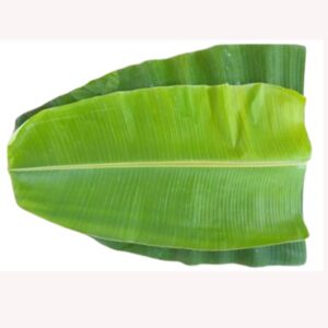 Banana Leaves Online