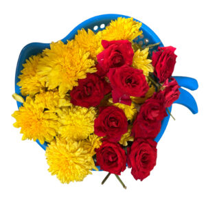 Chrysanthemum Chamanthi-Rose or Malabar Mixed-Flower