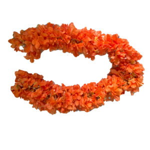 fresh Kanakambaram flowers